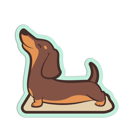 Illustration of a dachshund on a white background