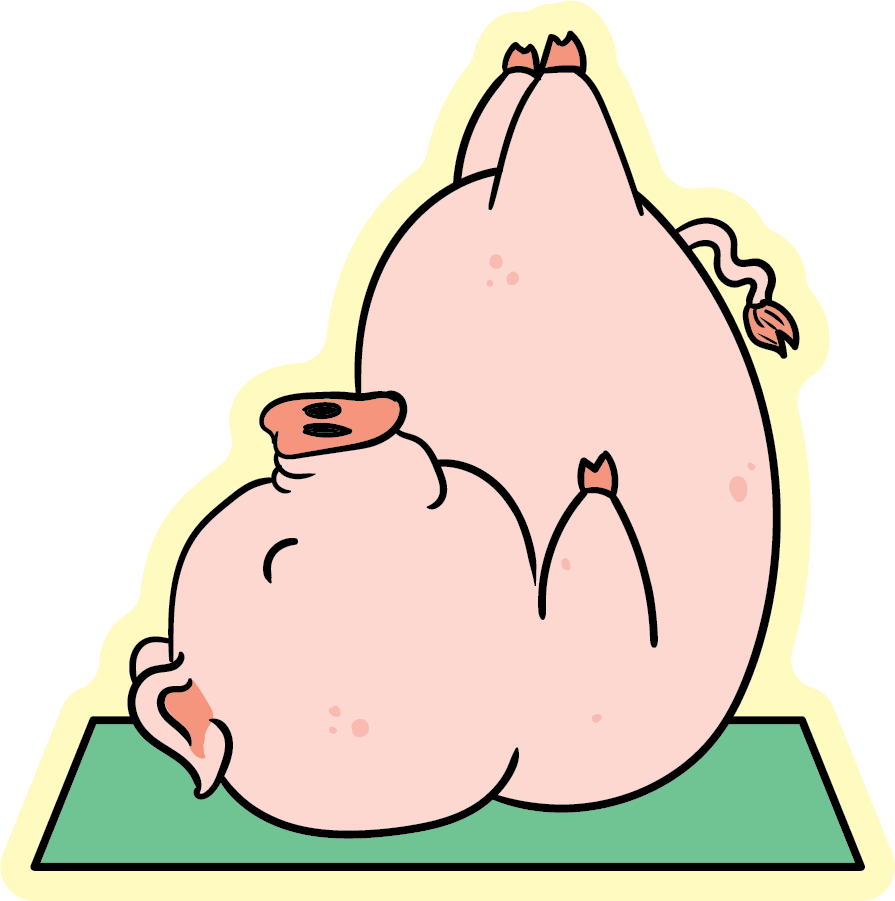 Positive Piglet  Yoga Animal Stickers