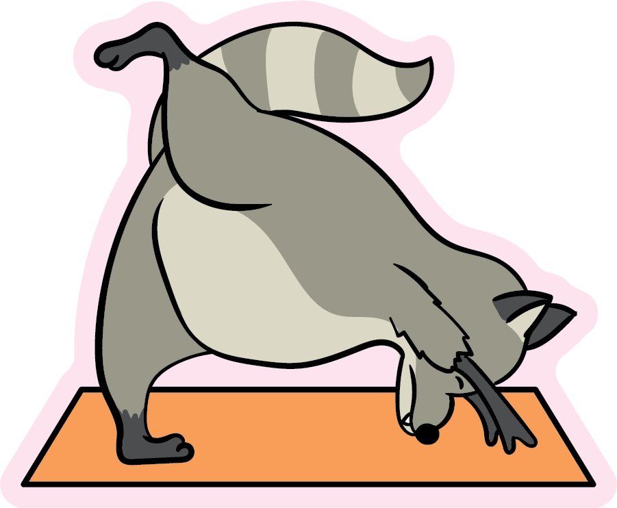 Dynamic Stretching Raccoon Yoga Animal Stickers