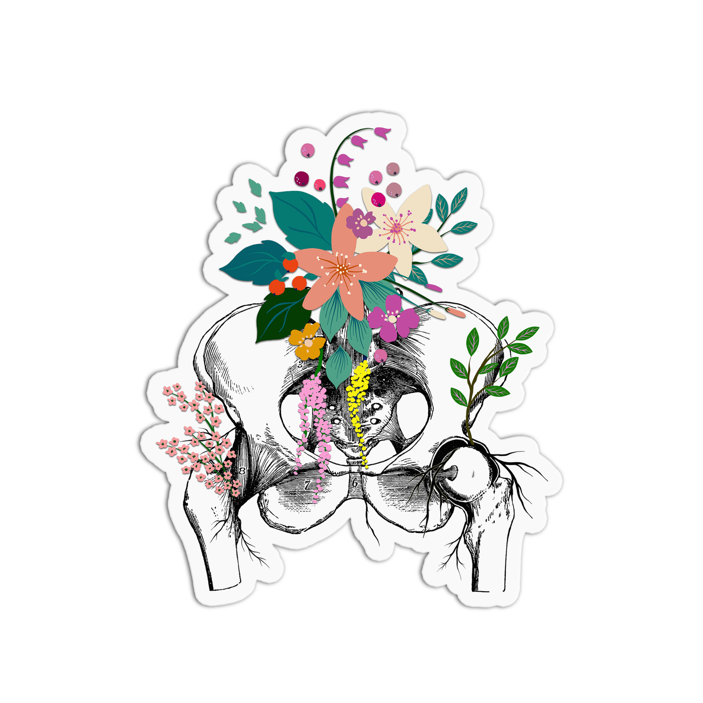 Pelvis with Flowers Anatomy Sticker