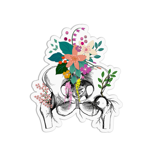 Pelvis with Flowers Anatomy Sticker