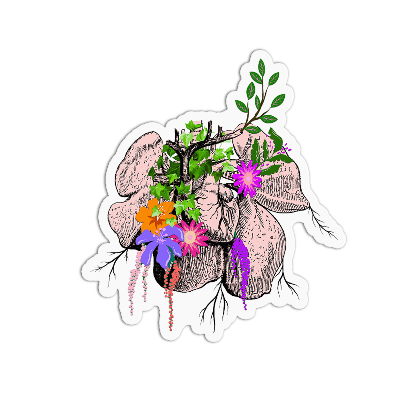 Pancreas with Flowers Anatomy Sticker