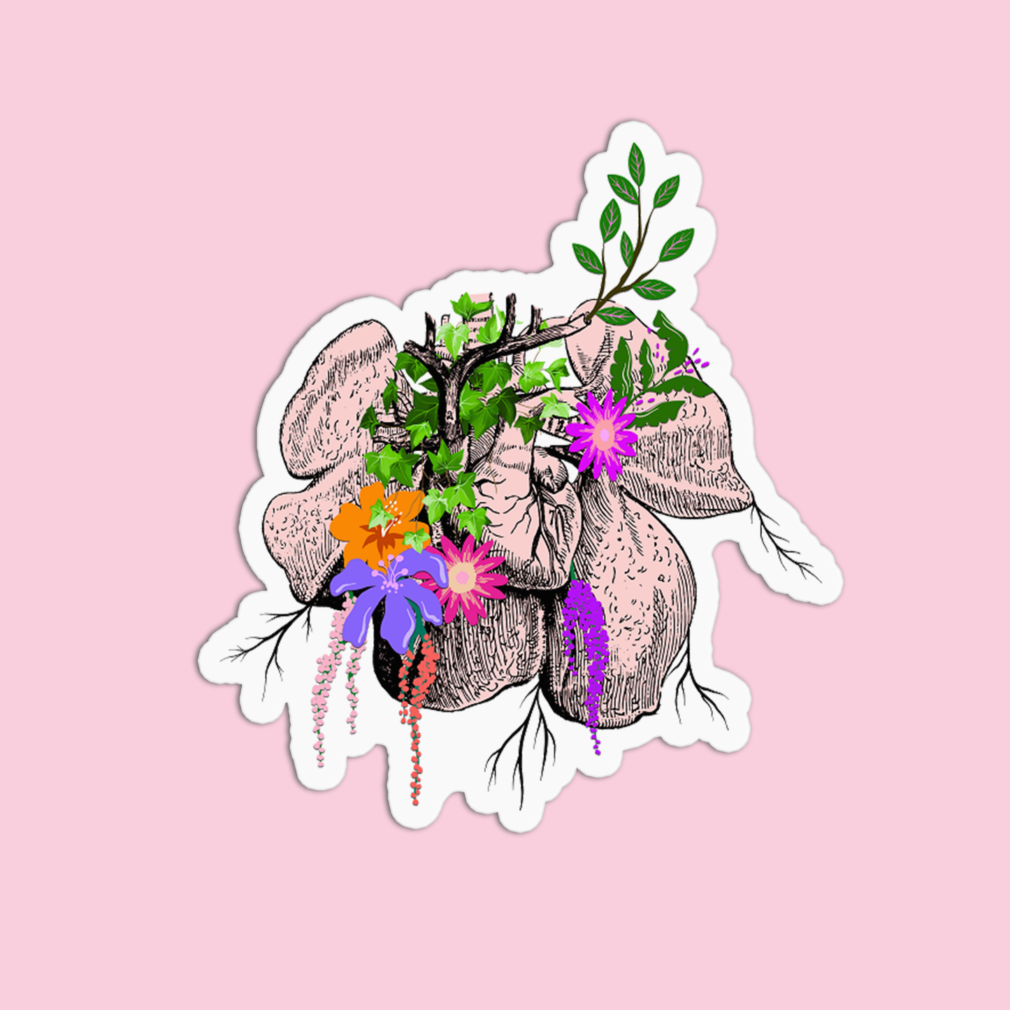 Pancreas with Flowers Anatomy Sticker