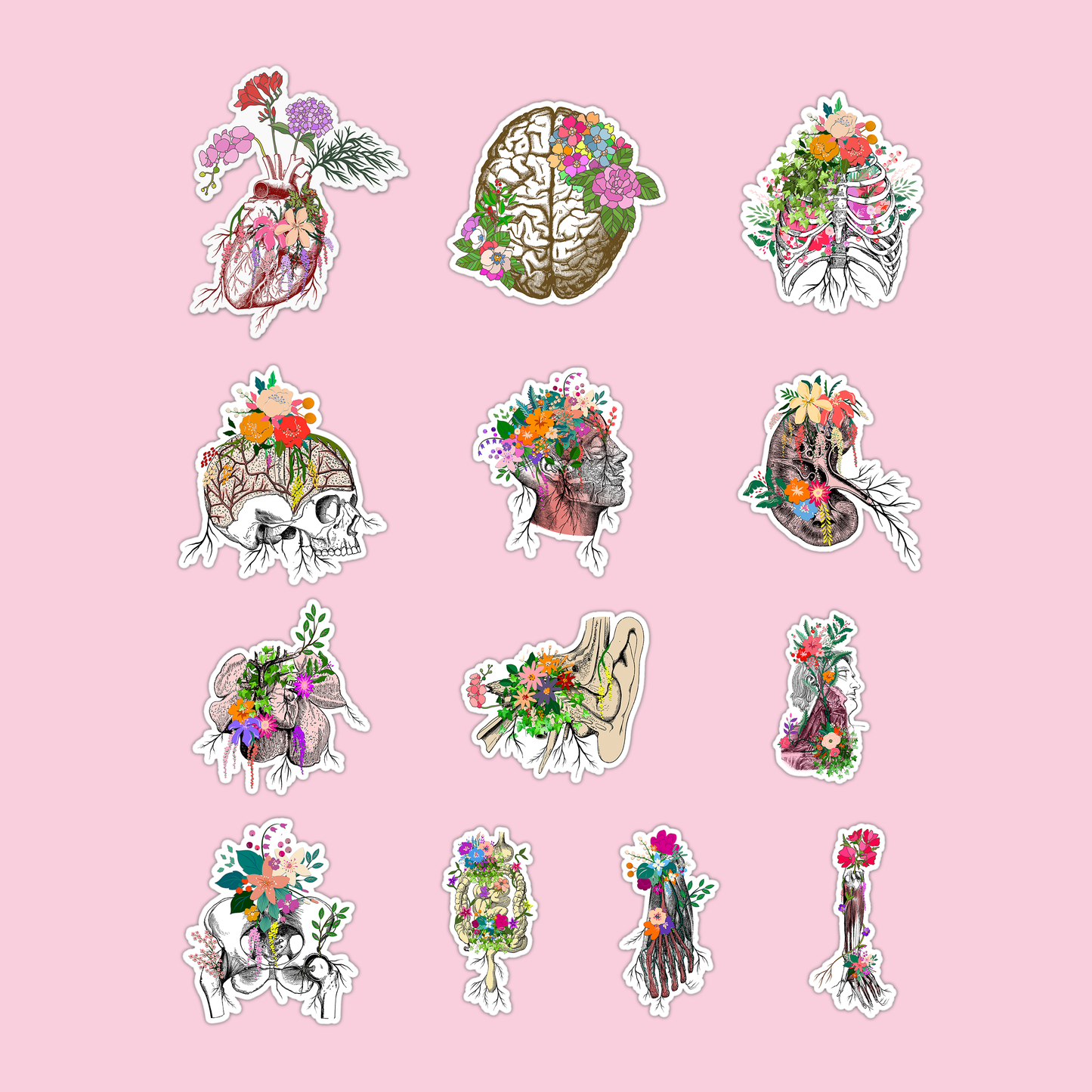 Anatomy with Flowers Pack