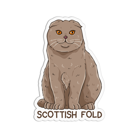 Scottish Fold Cat Sticker