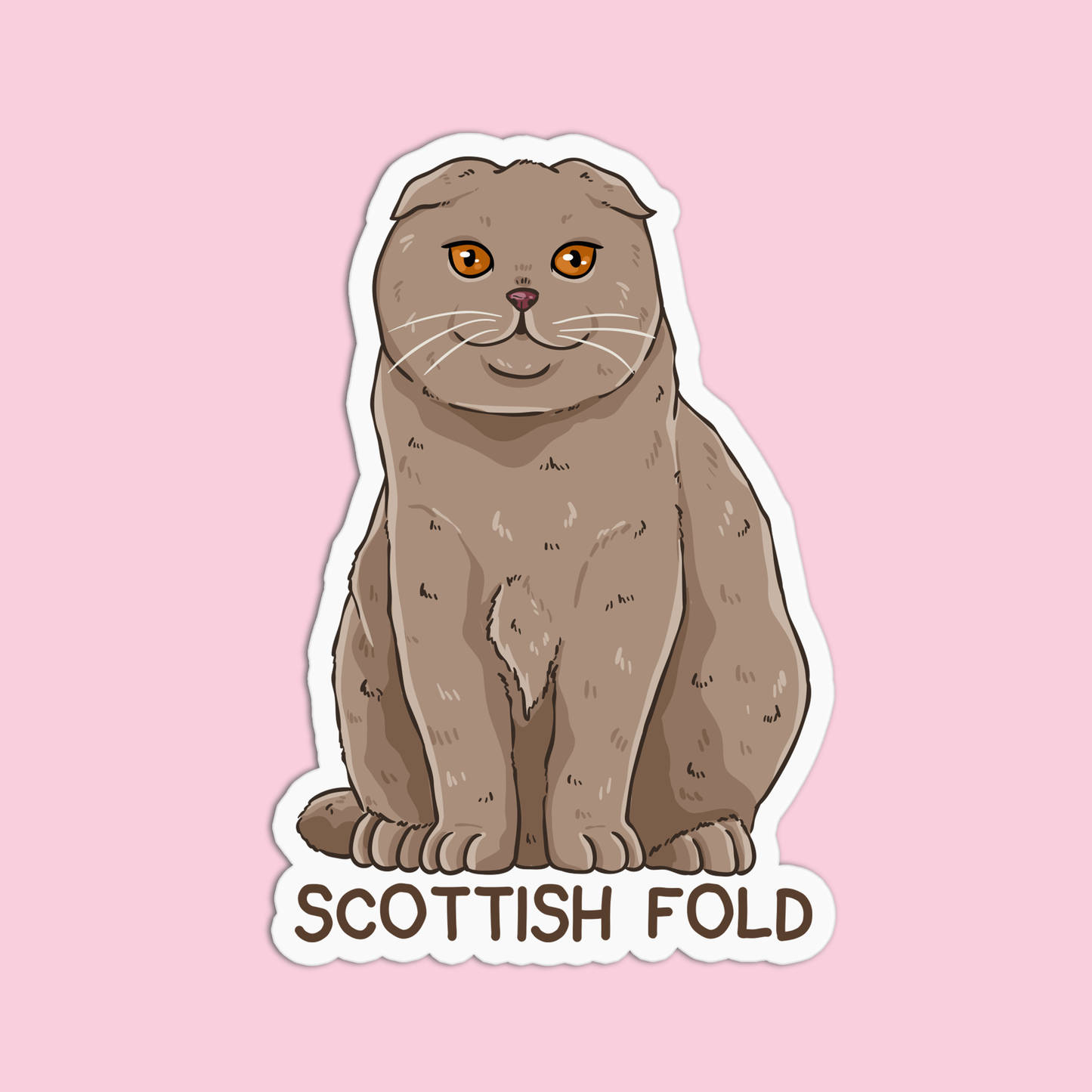 Scottish Fold Cat Sticker