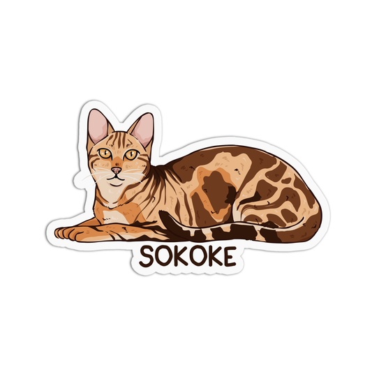 Sokoke Cat Sticker