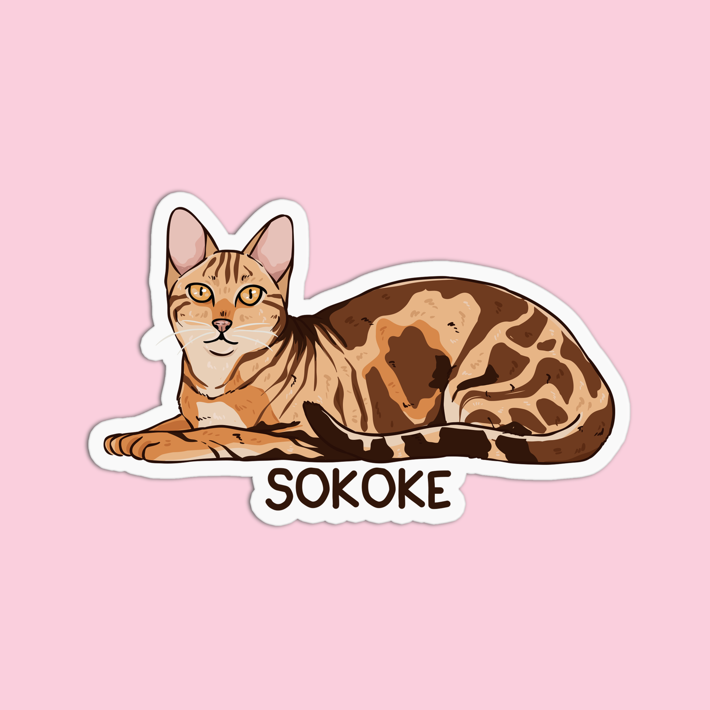 Sokoke Cat Sticker