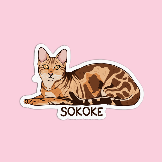 Sokoke Cat Sticker