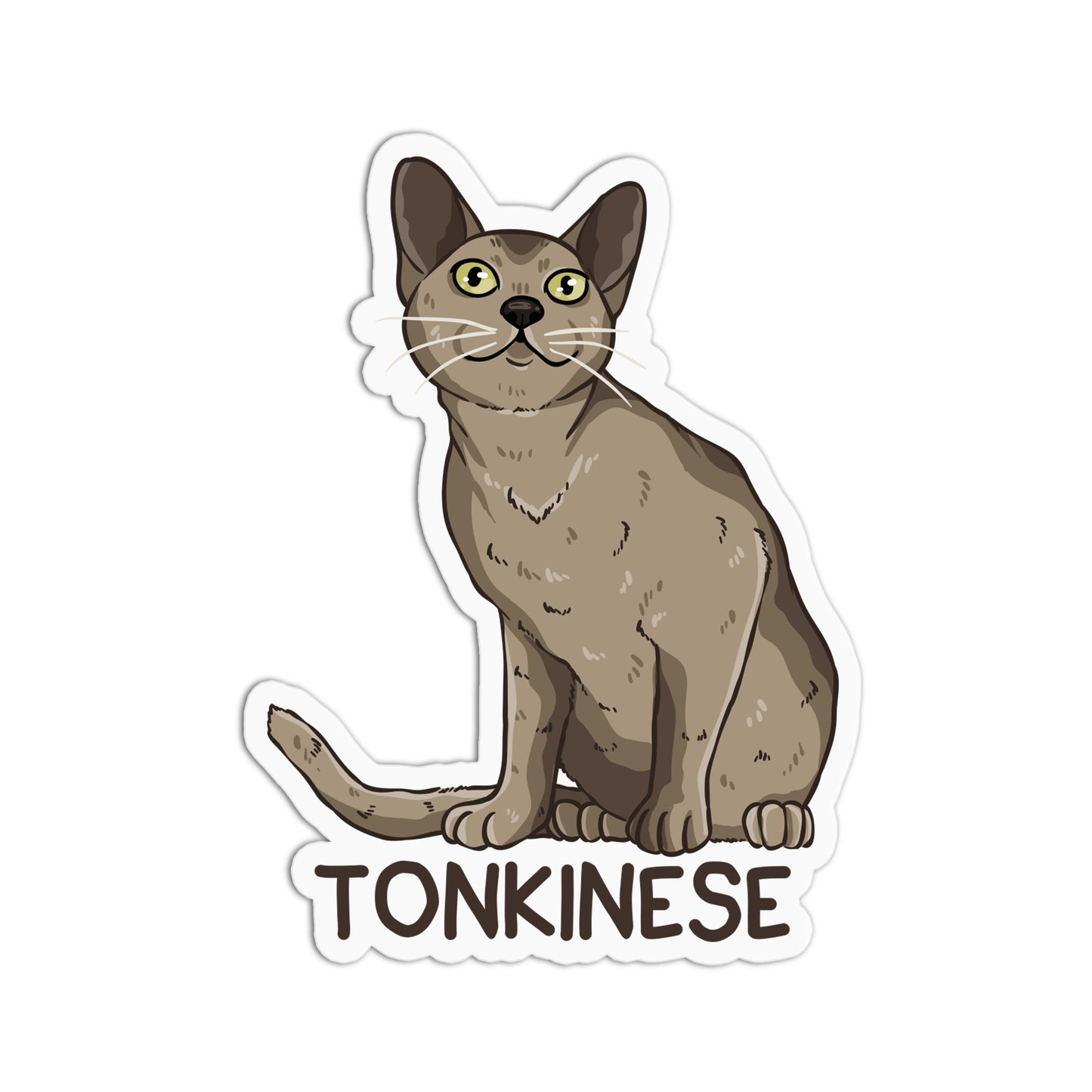 Tonkinese Cat Sticker