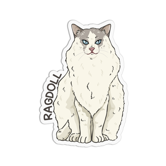 Ragdoll Cat Sticker