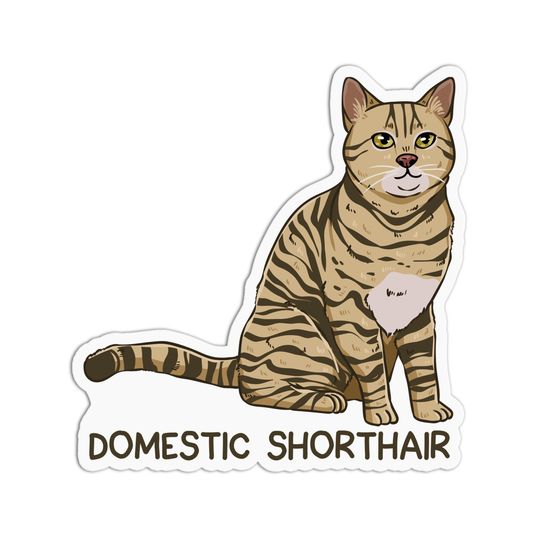 Domestic Shorthair Cat Sticker