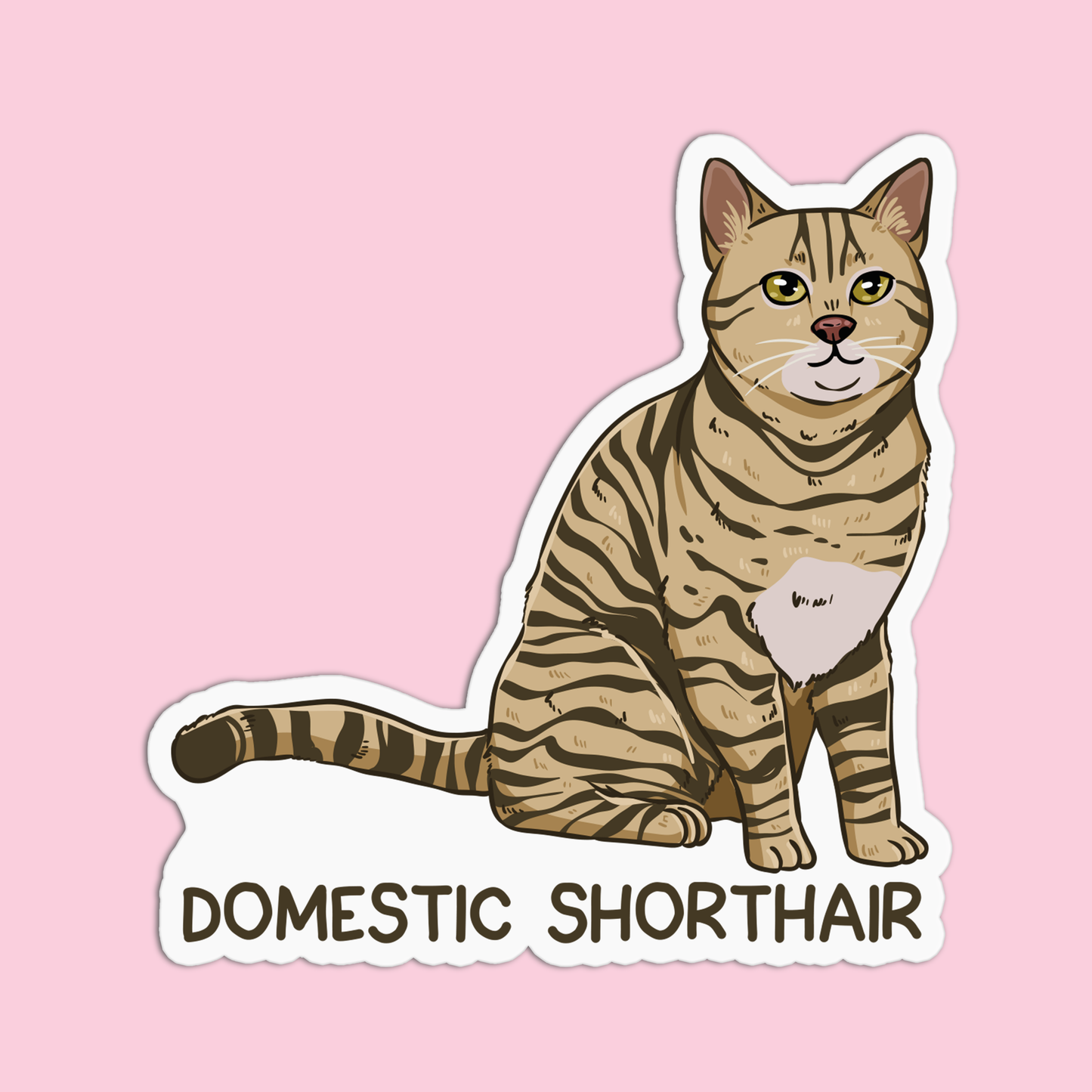 Domestic Shorthair Cat Sticker