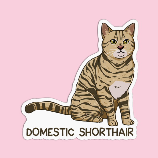 Domestic Shorthair Cat Sticker