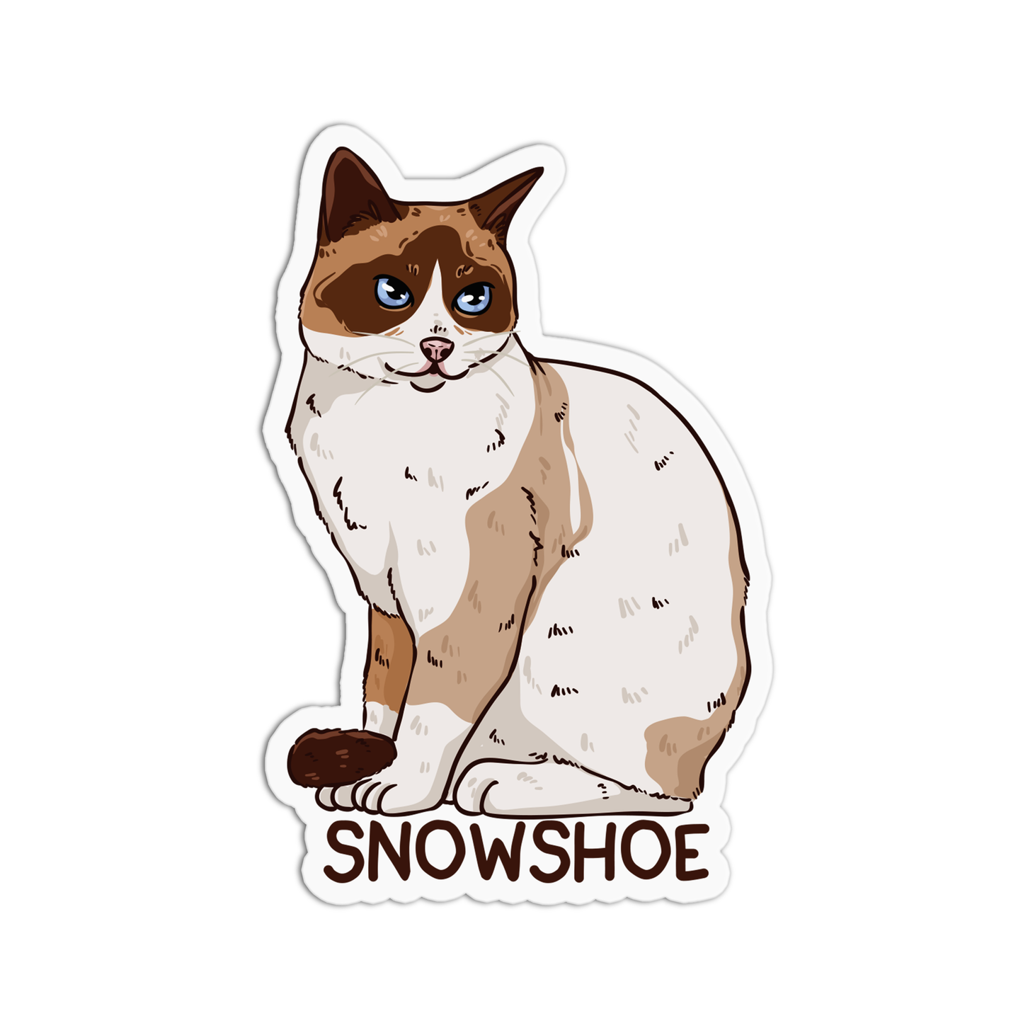 Snowshoe Cat Sticker