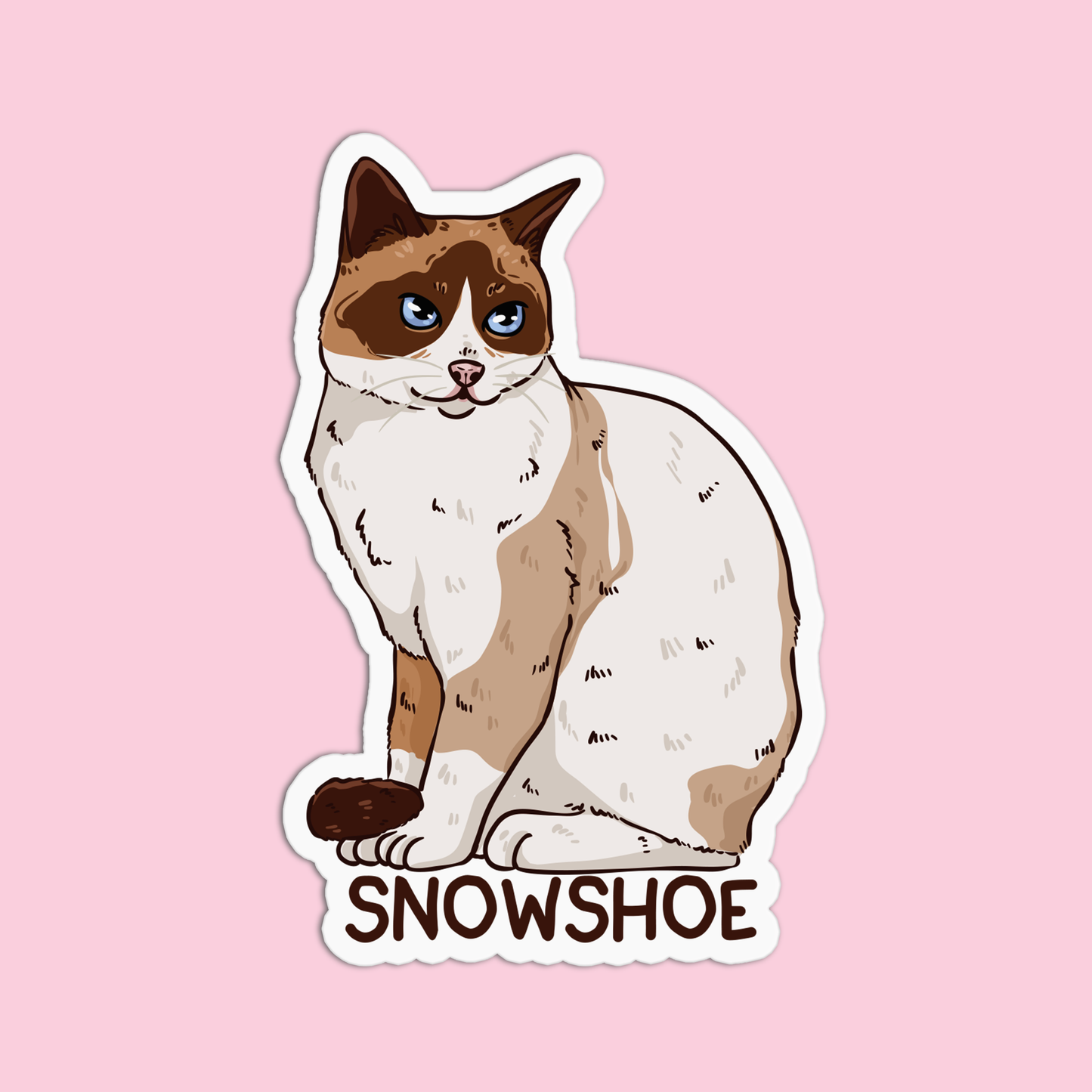 Snowshoe Cat Sticker
