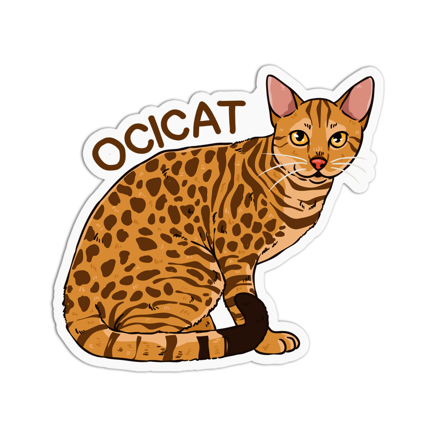 Ocicat Cat Sticker