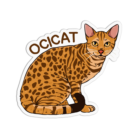 Ocicat Cat Sticker