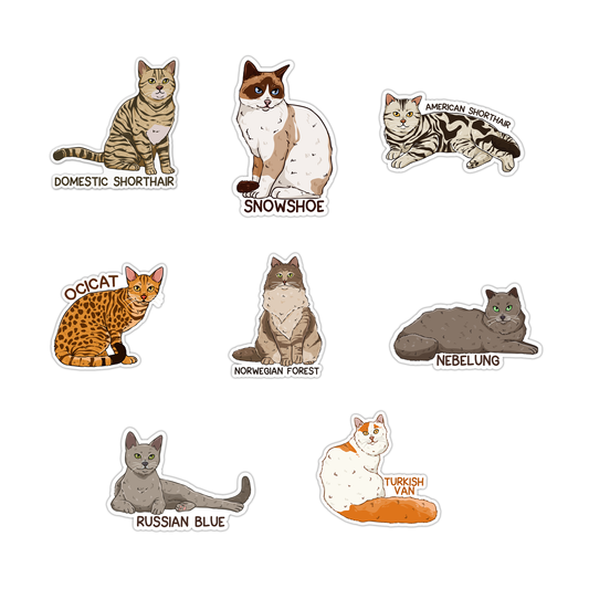 Cats Sticker Pack