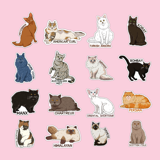 Cats Sticker Pack